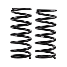 Carica l&#39;immagine nel visualizzatore di Gallery, ARB / OME Coil Spring Rear G Wagon Med