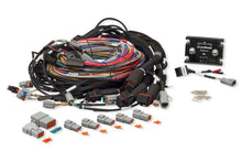 Charger l&#39;image dans la galerie, Haltech Elite 2500 &amp; REM 16 Sequential Injector Integrated 8ft Universal Wire-In Harness