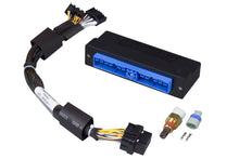 Cargar imagen en el visor de la galería, Haltech Nissan Patrol/Safari Y60 (TB42E Only) Elite 750 Plug-n-Play Adaptor Harness