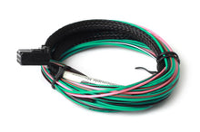 Carica l&#39;immagine nel visualizzatore di Gallery, Haltech 3ft TCA4 Quad Channel Thermocouple Amplifier Flying Lead Harness