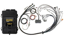 Load image into Gallery viewer, Haltech V8 BB/SB GM/Ford/Chrysler Elite 2500 Terminated Harness ECU Kit w/EV1 Inj Connectors