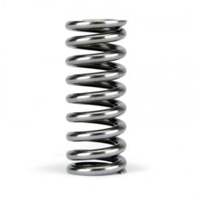 गैलरी व्यूवर में इमेज लोड करें, Skunk2 Alpha Series Honda D Series VTEC Valve Spring Set