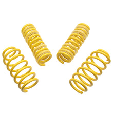 Laden Sie das Bild in den Galerie-Viewer, ST Sport-tech Lowering Springs Chrysler 300C 2WD / Dodge Charger Challenger Magnum