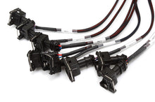 Carica l&#39;immagine nel visualizzatore di Gallery, Haltech V8 Big/Small Block GM/Ford/Chrysler Elite 2000/2500 Terminated Harness w/EV1 Inj Connectors