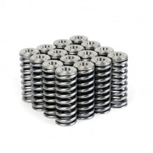 गैलरी व्यूवर में इमेज लोड करें, Skunk2 Alpha Series Honda/Acura D Series Valve Spring and Titanium Retainer Kit