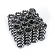 गैलरी व्यूवर में इमेज लोड करें, Skunk2 Alpha Series Honda D Series VTEC Valve Spring Set