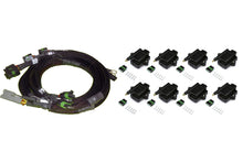 Carica l&#39;immagine nel visualizzatore di Gallery, Haltech Big/Small Block GM/Chrysler Hemi V8 8 Channel High Output IGN-1A Inductive Coil &amp; Harn Kit