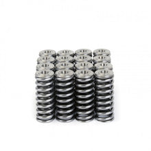 गैलरी व्यूवर में इमेज लोड करें, Skunk2 Alpha Series Honda/Acura D Series Valve Spring and Titanium Retainer Kit