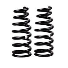 Carica l&#39;immagine nel visualizzatore di Gallery, ARB / OME Coil Spring Mits Triton-06On