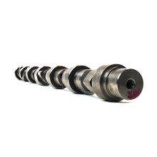 Carica l'immagine nel visualizzatore di Gallery, Industrial Injection 07.5-18 6.7L Dodge Cummins Stock Reground Camshaft