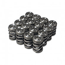 Carica l'immagine nel visualizzatore di Gallery, Skunk2 Alpha Series Honda/Acura H Series Valve Spring and Titanium Retainer Kit