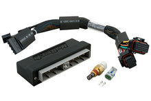 गैलरी व्यूवर में इमेज लोड करें, Haltech Nissan Skyline R34 GT-T/Stagea WC34 (M/T Only) Elite 2000/2500 Plug-n-Play Adaptor Harness
