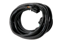 गैलरी व्यूवर में इमेज लोड करें, Haltech CAN Cable 8 Pin Black Tyco to 8 Pin Black Tyco 3000mm (120in)