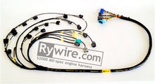 Carica l&#39;immagine nel visualizzatore di Gallery, Rywire Honda S2000 AP1/AP2 (Early) Mil-Spec Engine Harness