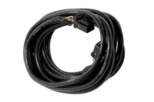 गैलरी व्यूवर में इमेज लोड करें, Haltech CAN Cable 8 Pin Black Tyco to 8 Pin Black Tyco 150mm (6in)