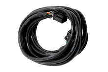 गैलरी व्यूवर में इमेज लोड करें, Haltech CAN Cable 8 Pin Black Tyco to 8 Pin Black Tyco 600mm (24in)