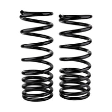 Carica l&#39;immagine nel visualizzatore di Gallery, ARB / OME Coil Spring Rear Gu Low