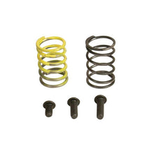 Laden Sie das Bild in den Galerie-Viewer, Industrial Injection 94-98 Dodge 12V AFC Spring Kit