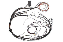 Carica l&#39;immagine nel visualizzatore di Gallery, Haltech Mazda 13B (S4/5 CAS w/IGN-1A Ignition) Elite 1000 Terminated Harness
