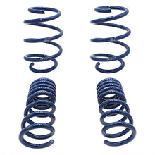 Laden Sie das Bild in den Galerie-Viewer, Ford Racing 2015-2017 Mustang GT350 Lowering Springs