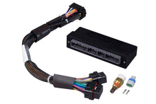 Carica l&#39;immagine nel visualizzatore di Gallery, Haltech Mazda Miata NA 1.6/1.8 w/2 Plug 2 Row ECU Elite 1000/1500 Plug-n-Play Adaptor Harness