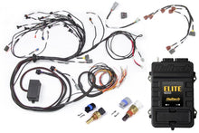 Cargar imagen en el visor de la galería, Haltech Nissan RB Elite 2000 Terminated Harness ECU Kit w/Early Ignition