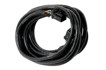 गैलरी व्यूवर में इमेज लोड करें, Haltech CAN Cable 8 Pin Black Tyco to 8 Pin Black Tyco 2400mm (92in)