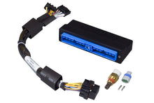 Cargar imagen en el visor de la galería, Haltech Nissan Patrol/Safari Y60/Y61 (TB45E Only) Elite 750 Plug-n-Play Adaptor Harness