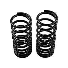 Carica l&#39;immagine nel visualizzatore di Gallery, ARB / OME Coil Spring Rear Gu Low