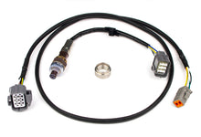 Carica l&#39;immagine nel visualizzatore di Gallery, Haltech NTK Wideband Hardware Pack