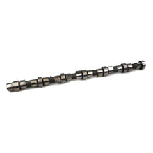 Carica l'immagine nel visualizzatore di Gallery, Industrial Injection 07.5-18 6.7L Dodge Cummins Stock Reground Camshaft