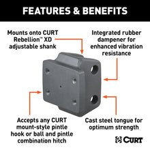 Carica l&#39;immagine nel visualizzatore di Gallery, Curt Rebellion XD Pintle Mount Attachment
