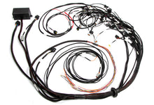 गैलरी व्यूवर में इमेज लोड करें, Haltech Ford Falcon FG Barra 4.0 Elite 2500 Terminated Harness w/OE EV1 Injector Connectors