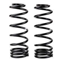 Carica l&#39;immagine nel visualizzatore di Gallery, ARB / OME Coil Spring Rear Np300 Med