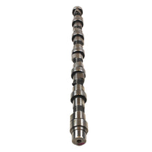 Carica l'immagine nel visualizzatore di Gallery, Industrial Injection 07.5-18 6.7L Dodge Cummins Stock Reground Camshaft
