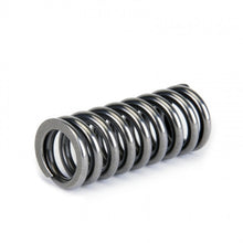 गैलरी व्यूवर में इमेज लोड करें, Skunk2 Alpha Series Honda D Series VTEC Valve Spring Set