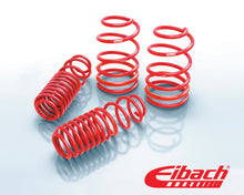 गैलरी व्यूवर में इमेज लोड करें, Eibach Sportline Kit for 2013 Ford Focus ST 2.0L 4cyl Turbo (2013 ONLY)