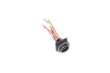 Carica l'immagine nel visualizzatore di Gallery, Radium Engineering Bulkead Harness Internal Triple Walbro F90000262 Pump