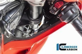 Ilmberger Carbon Right Air Tube Cover for 2018+ Ducati Panigale V4 / V4S / V4R